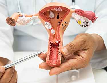 San Carlos Clínicas en Puebla